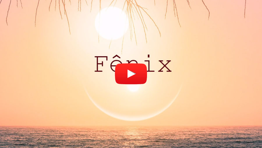 Capa da musica Fênix