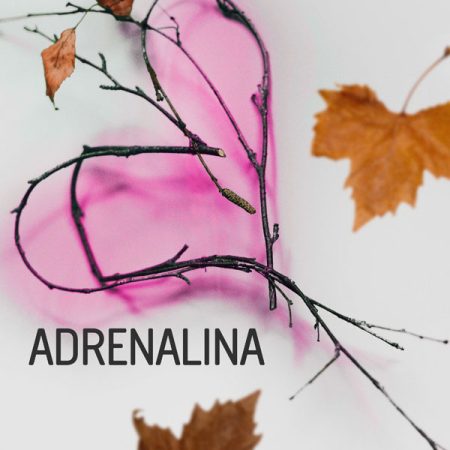 Capa da musica adenalina, composta por Valéria Vélio